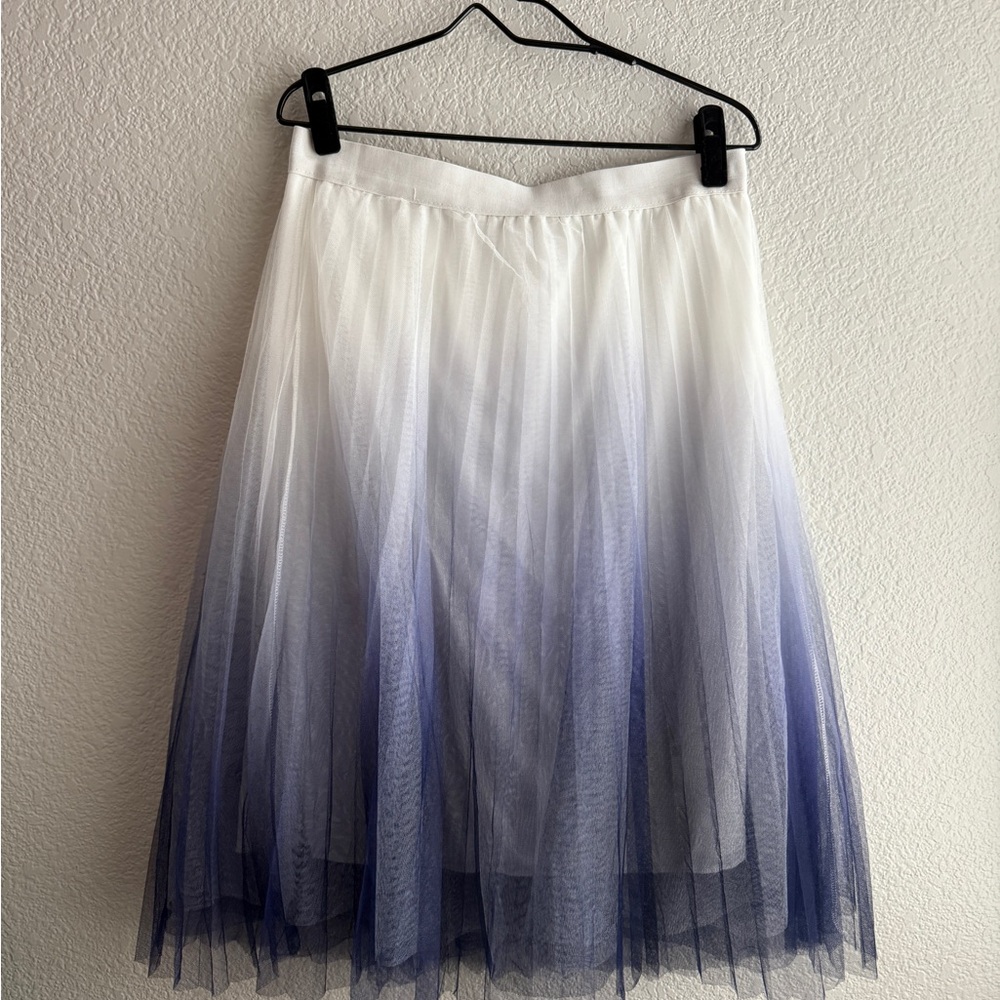 Ombré Pleated Tulle Skirt
